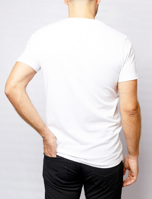 Мужская футболка короткий рукав 2 шт PIERRE CARDIN C5 29990.9000/1010
