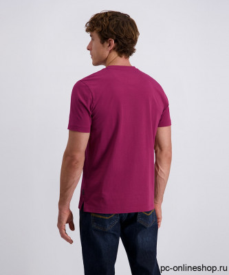 Мужская футболка короткий рукав PIERRE CARDIN C5 21800.2120/7200