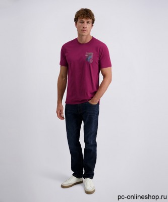 Мужская футболка короткий рукав PIERRE CARDIN C5 21800.2120/7200